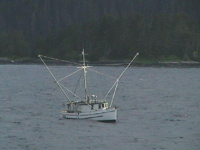 fboat