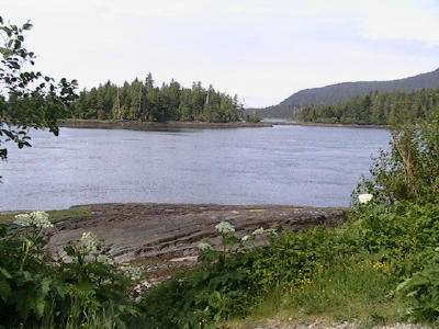 prview
