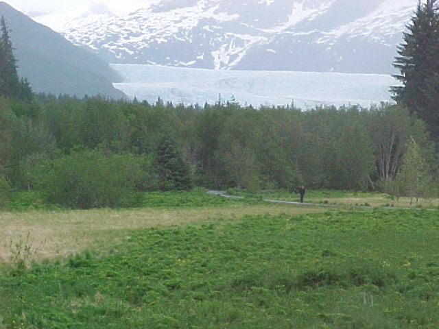 g.meadow.zoom